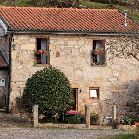 Casa Senhor Da Ponte Villa Мондим де Басто Екстериор снимка